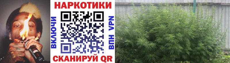 Какие есть наркотики Камешково Альфа ПВП  Псилоцибиновые грибы  МЕФ 