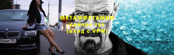сатива Волоколамск