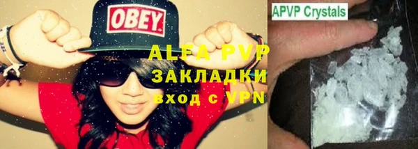 сатива Волоколамск