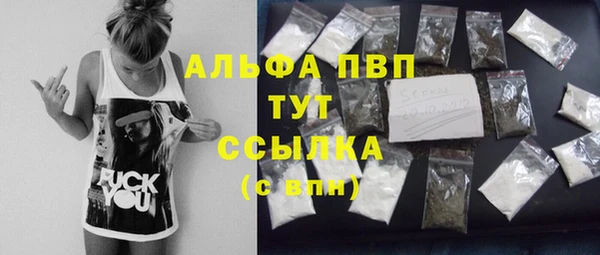 сатива Волоколамск