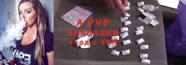 сатива Волоколамск