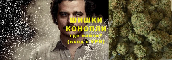 сатива Волоколамск
