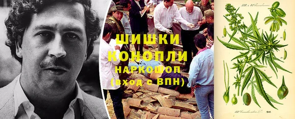 шишки Волосово