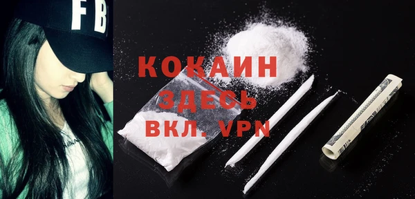 сатива Волоколамск