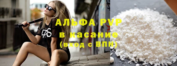 сатива Волоколамск