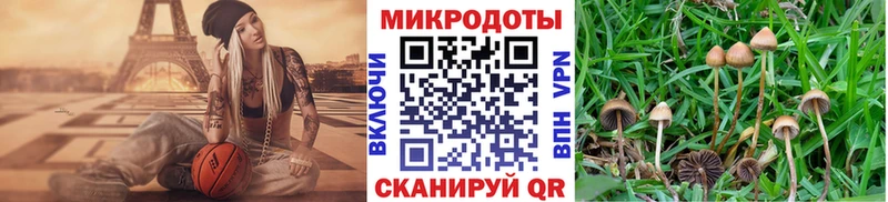 MEGA рабочий сайт  Камешково  Псилоцибиновые грибы ЛСД 