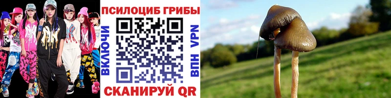 Псилоцибиновые грибы MAGIC MUSHROOMS Камешково